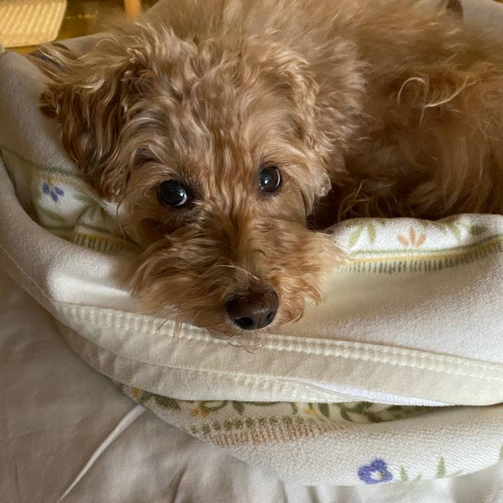 78ddcd18 7e4f 4879 ac07 67d61ce07ce0 1708125141194