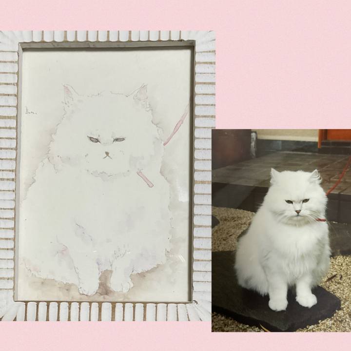 78dddaf8 661e 4246 ad6d be3b4c5d1254 1758116613035