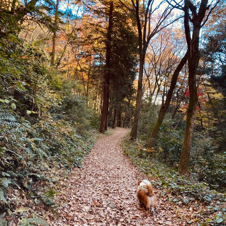 78ddf9e4 82d2 419c b47d 378e36badb35 1701585115483