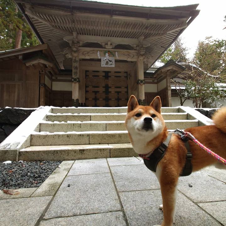 78de403d 1527 4256 ba17 a87398fd5930 1767077245488