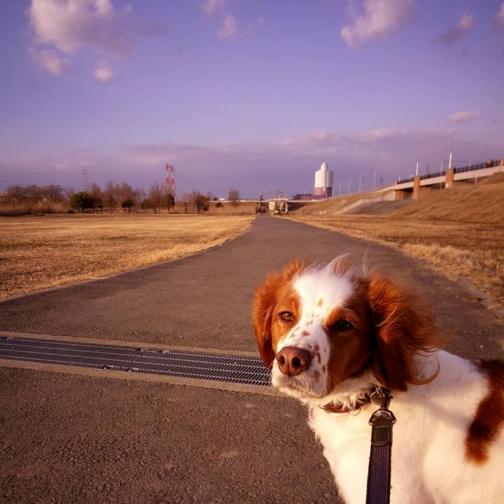 78de49c3 241e 48fa bedf 85905ad46b3c 1517223921263