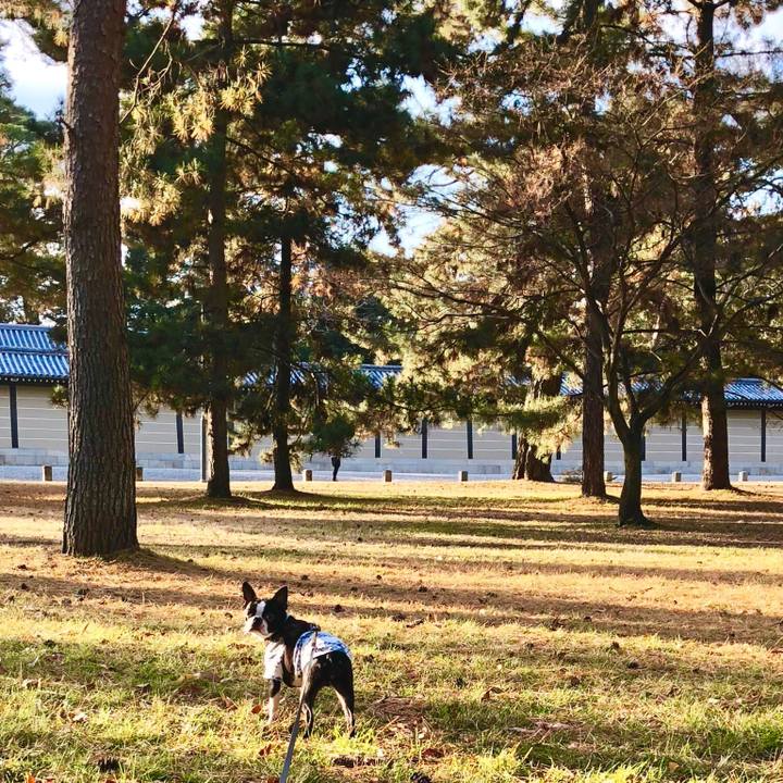 78de4e43 a85f 4f1b baf8 a701b2e0e4c2 1513755638906