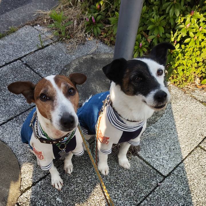 78de77cf d505 4669 926e dc0cac25f2cc 1744409052275