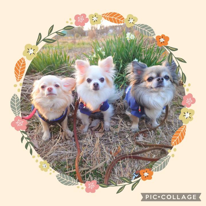 78dee800 6947 4af8 af9e b4cb080471be 1646822158256