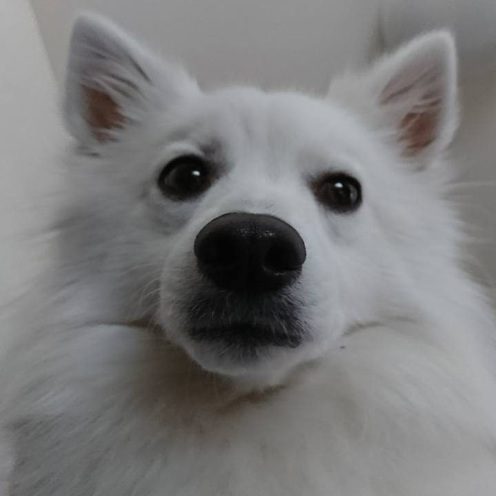 78df2557 54a5 4045 933c e4d4226892c2 1519106835761