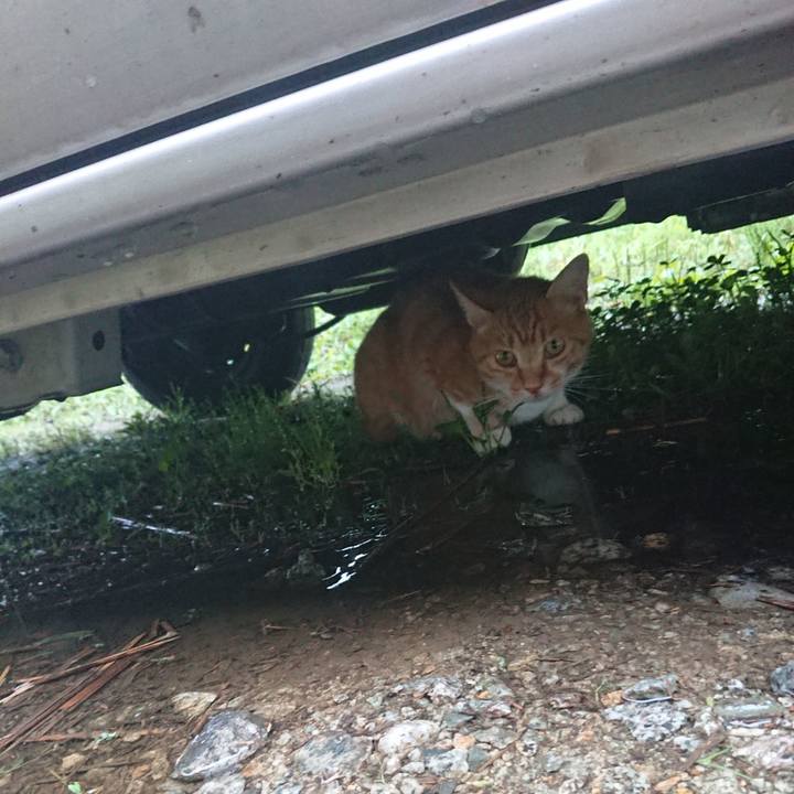 78df3bd1 460b 429e 8848 52ed1b17dcad 1596929818150