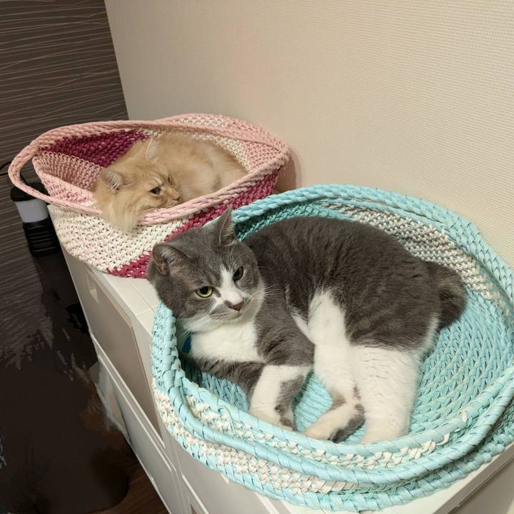 78df5956 4f8a 4067 9307 ae776f62e69f 1727008526314