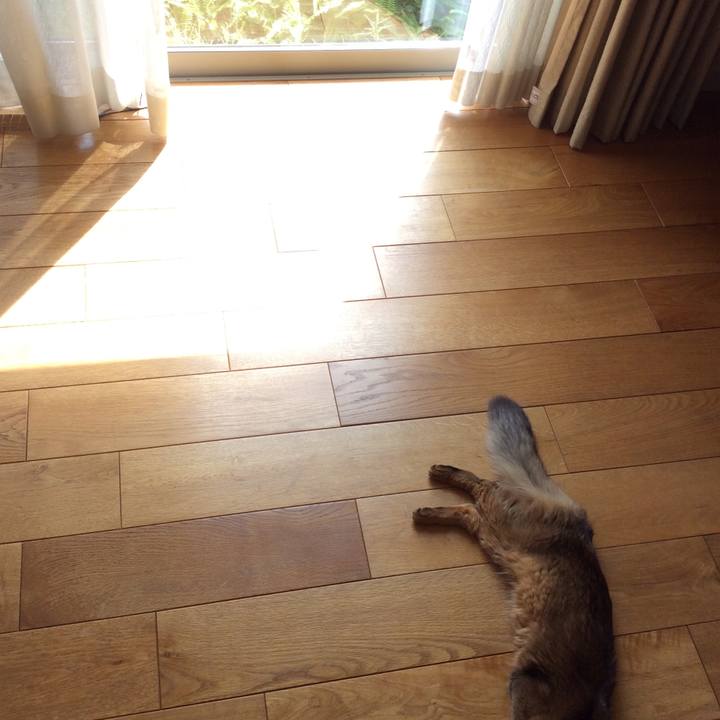 78df7974 b4a7 4a79 8502 27b91cec306f 1567742528552