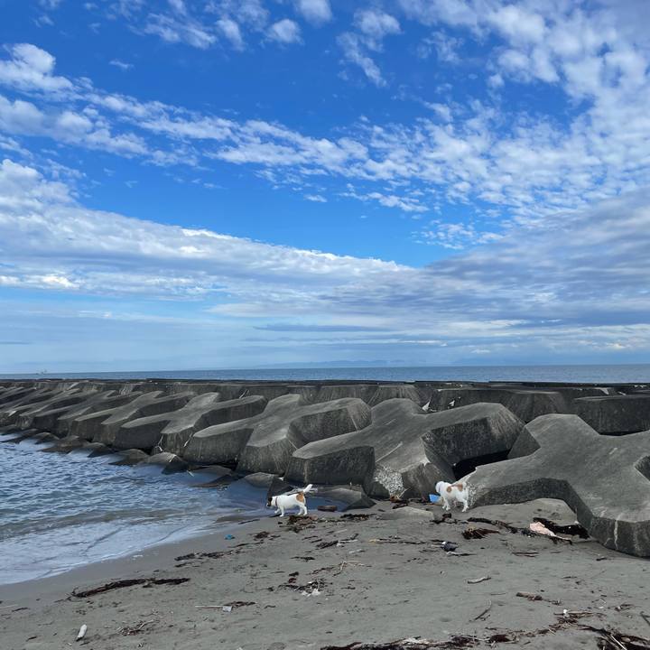 78df9733 29ab 444b 8bab 1d610479fe6d 1721261764265