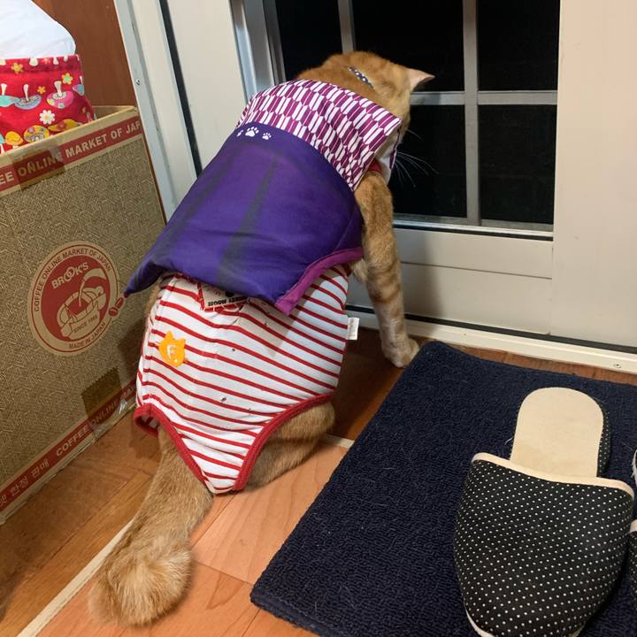 78dfc8e1 3758 4fec b2fc ba6a631881eb 1595425850070