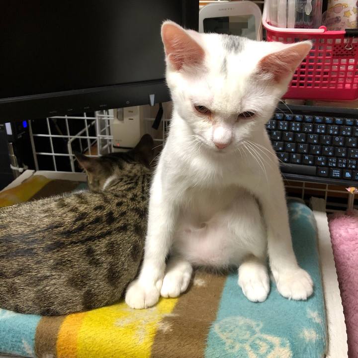 78dfcb03 694e 4f56 848a 6d28f21c2a99 1564716584719