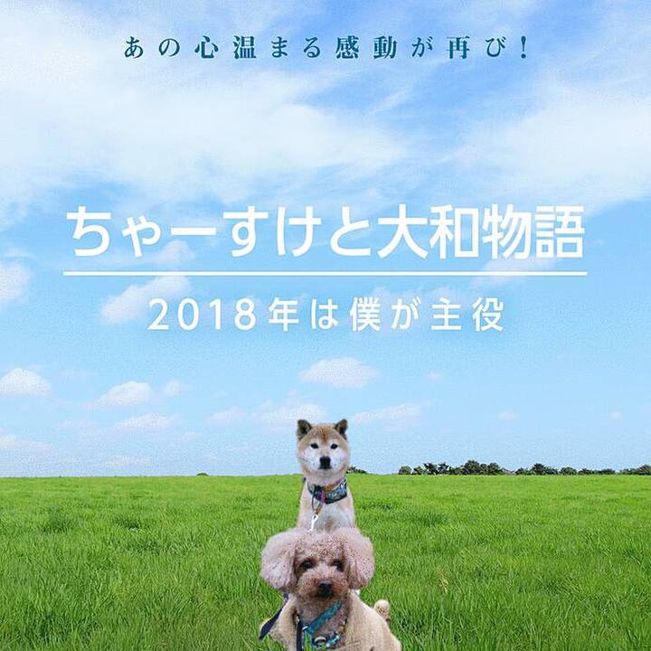 78e02e12 6133 4c12 9ab0 2d54c56b044e 1513846268908