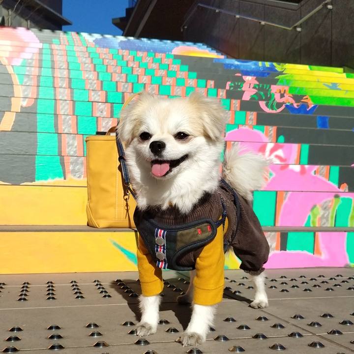 78e03ccc f301 4866 85aa 1b1cf82a5241 1672582966052