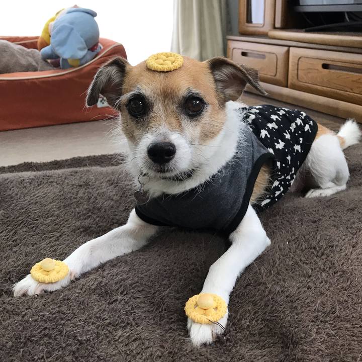 78e04449 58ac 48f9 acf2 5c166f9a9d97 1569072642065