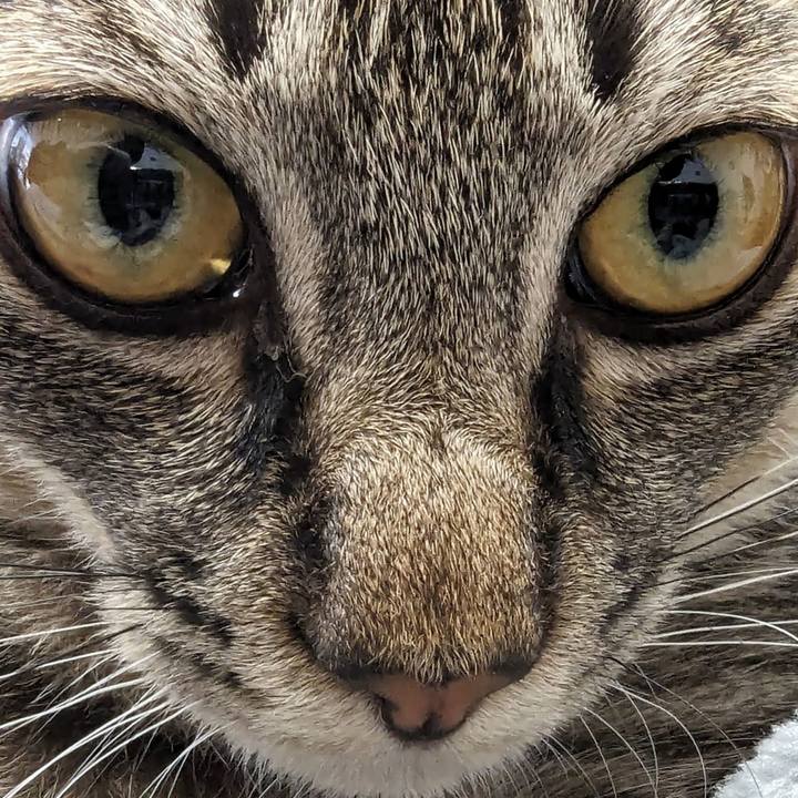 78e0620c 78b4 4705 997f 219e9800fd31 1708754369910