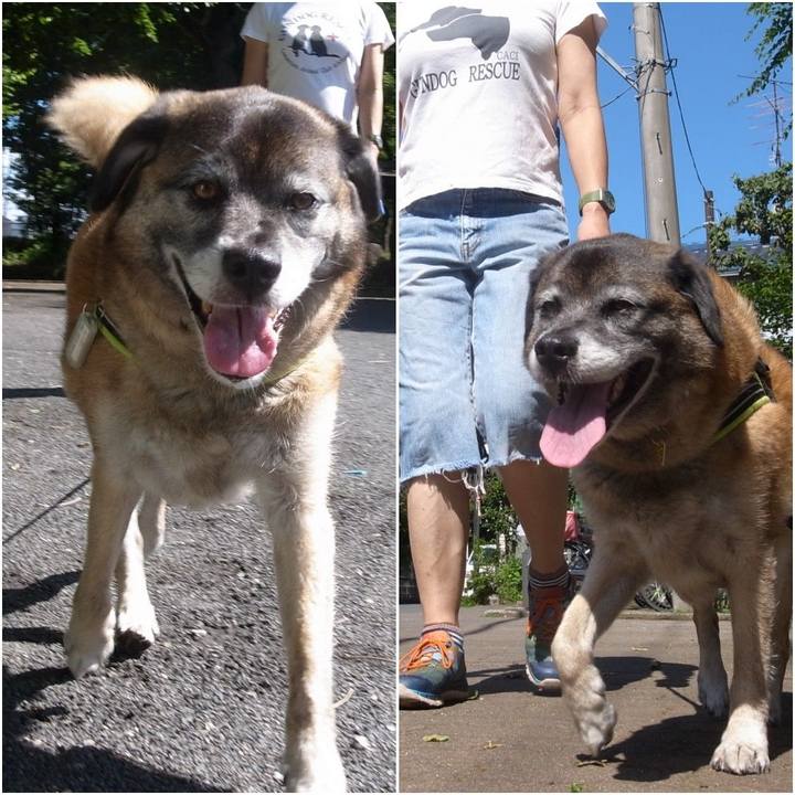 78e06eac eef1 4150 9c57 8bb63ac2c2bf 1587258298047