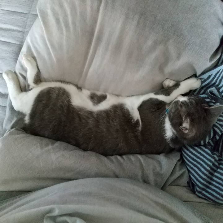 78e07840 0567 41a7 9ae7 fd9c3098985b 1618623240038