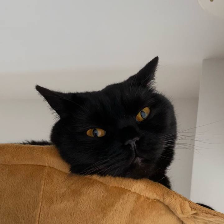 78e08512 30fd 4522 bb60 105889296a1a 1621156958767