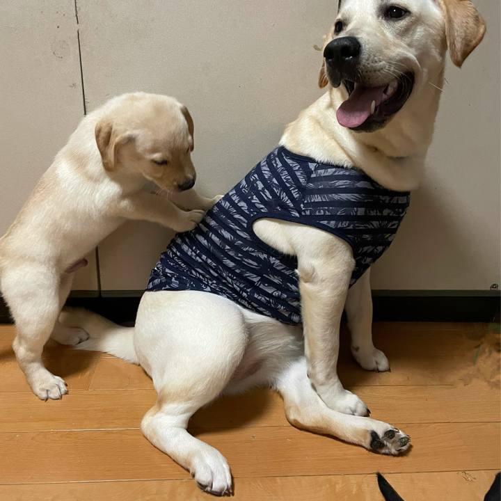 78e0c50c 10ff 4e9b a5e3 cbd9afed373b 1629994339078