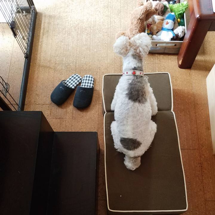 78e0d0f2 6451 4ad0 a366 a71e69575067 1593266800568