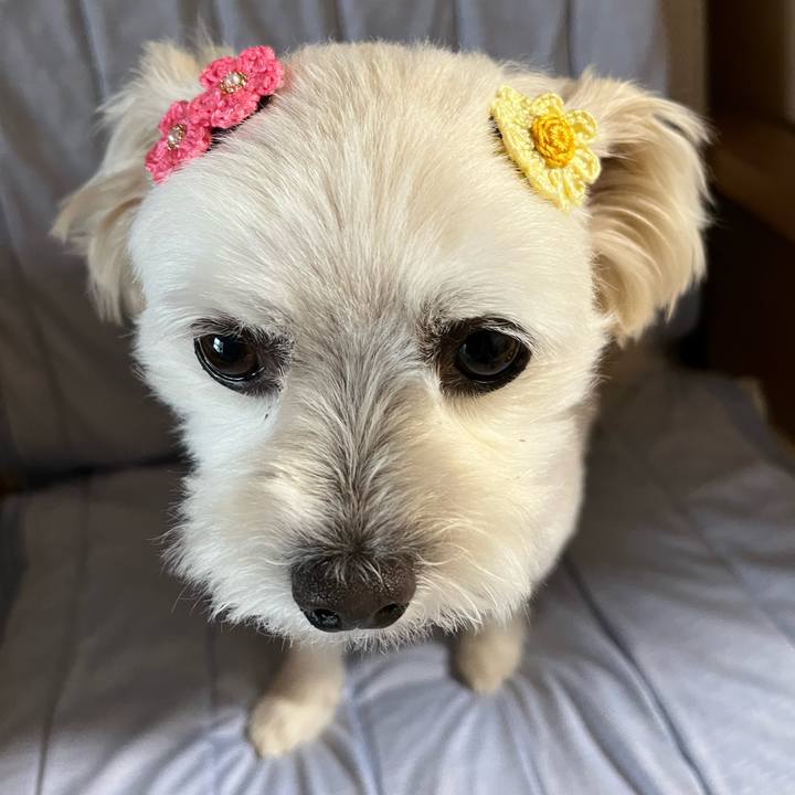 78e0db5d f8ea 4eb7 86a2 64fea9a4ccf8 1655712447650