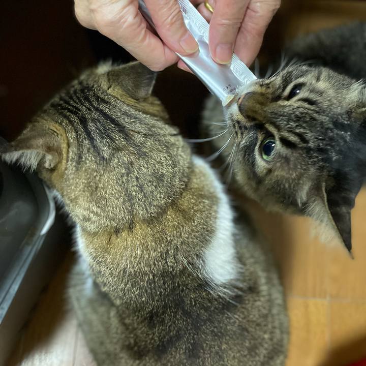 78e0e8ab e5dc 45fa bc0f 7b29152d7286 1628847731167