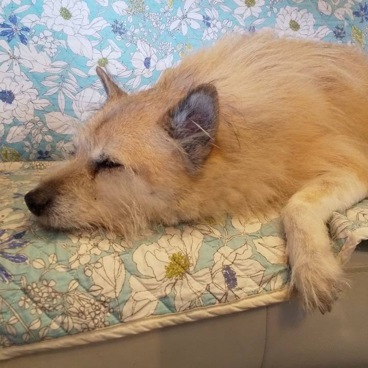 78e1072a cb83 4b72 af12 7121accfb592 1545438751272