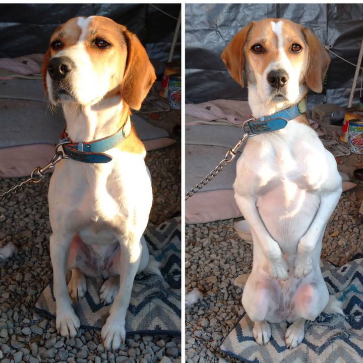 78e166a5 10f0 41e1 bc1a e9f70a85c4df 1605428741250