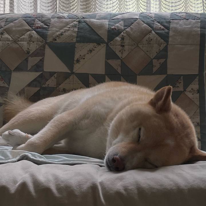 78e1778f bfd5 4d66 9805 ba836fe177a2 1721964746185