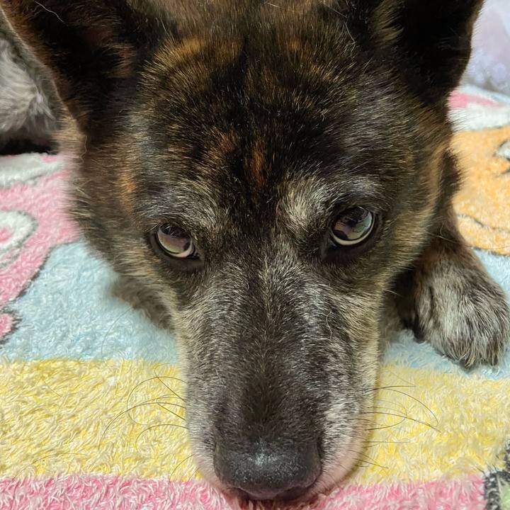 78e1ce9b 888d 41a4 96ff a39a4fbd7b08 1632320763385