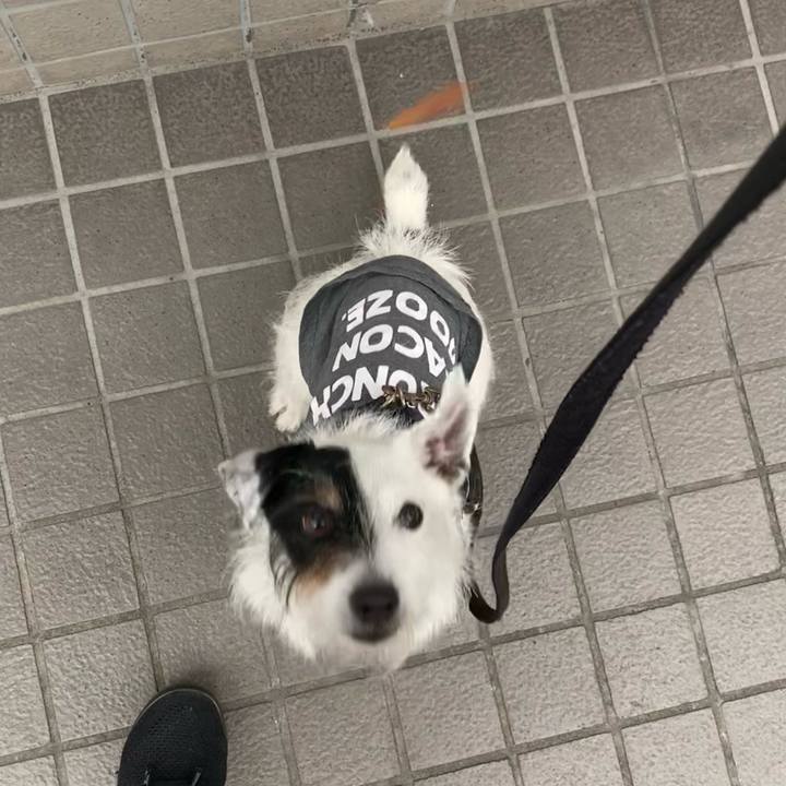 78e1e9e0 2399 4c6e ad3b 3a48ed8f5f82 1682840355966