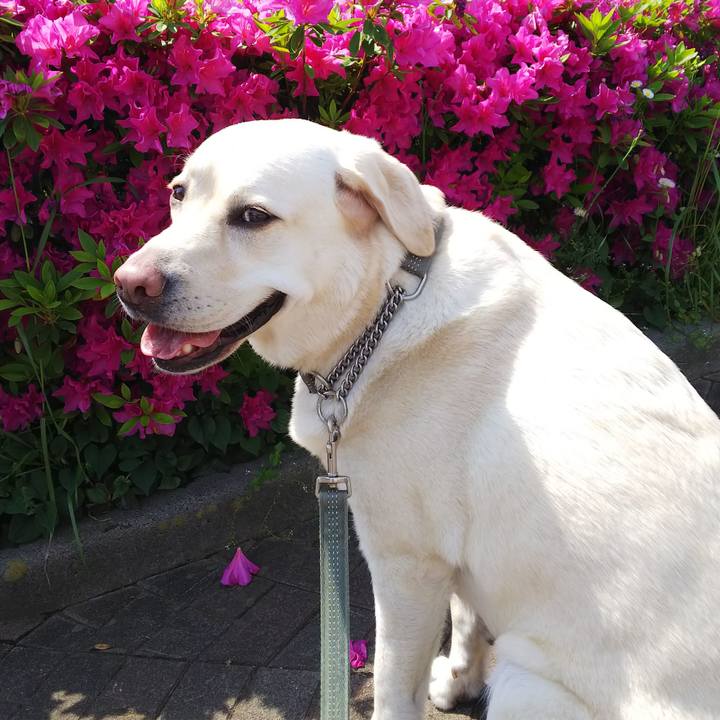 78e25645 020a 4e15 b8b3 d3cb40a7c3aa 1557539911202