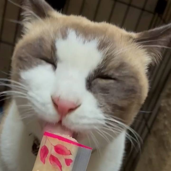 78e2895d 6e06 4bdb 89ab c86fa962c352 1764502576807