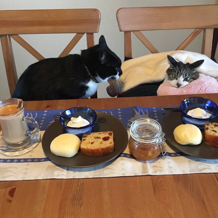 78e2a9c9 a5e7 4a5b 82be ca80192d81bc 1518415190000