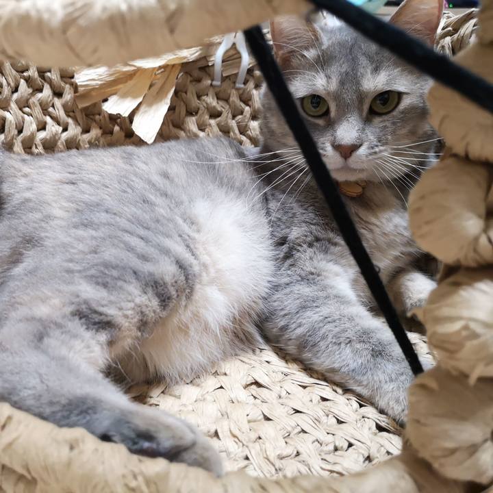 78e2b4a3 8d25 4ca0 a54a a180db91afb3 1561385094560