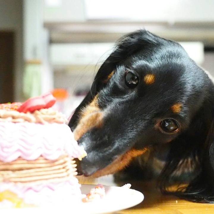 78e2de9c c673 4400 b459 aeb4cc5da404 1519957436545