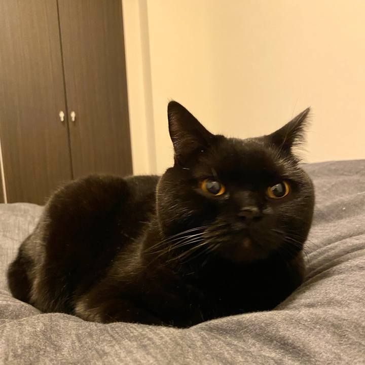 78e2fb9d f871 497a bf83 e7cfdf72307c 1671196106798