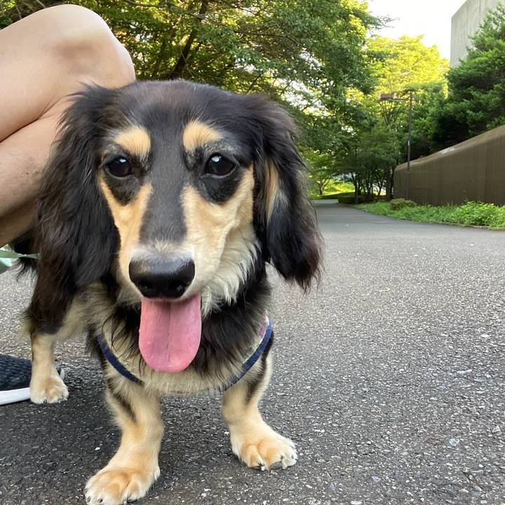 78e3056a 08ac 43dd 8391 e5896bf00454 1690155682162