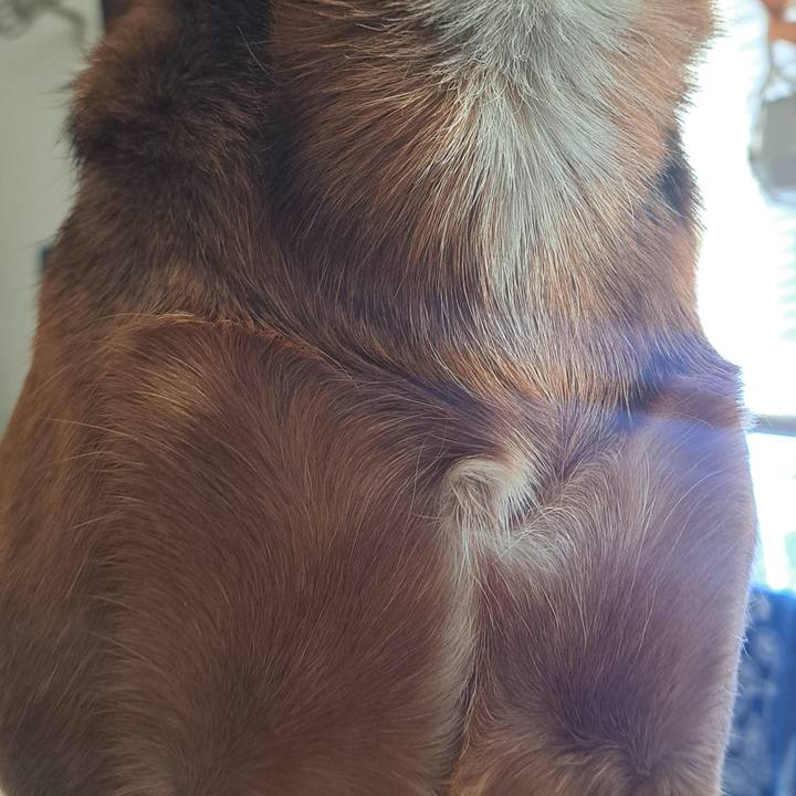 78e31063 7953 40fb 8e3d 37cb0d38e114 1770119312388