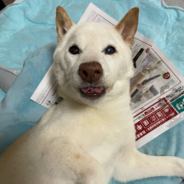 78e331e5 3c6b 4dcc a13f 18ca4c9b6ae6 1652593548130