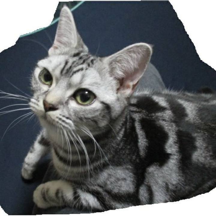 78e33238 b7f7 46e3 8e41 d971cd8e0560 1550571850369