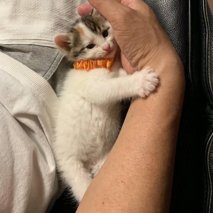 78e3664f dc39 41c8 8cd9 a30469c2ce35 1683551027574