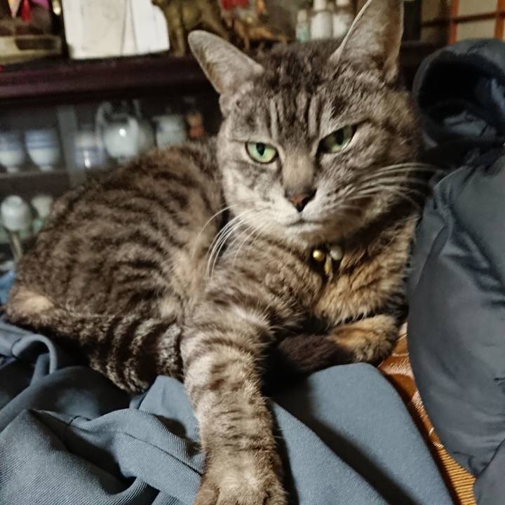 78e36c13 7dea 4ad1 b630 813b76fbe533 1552388792399