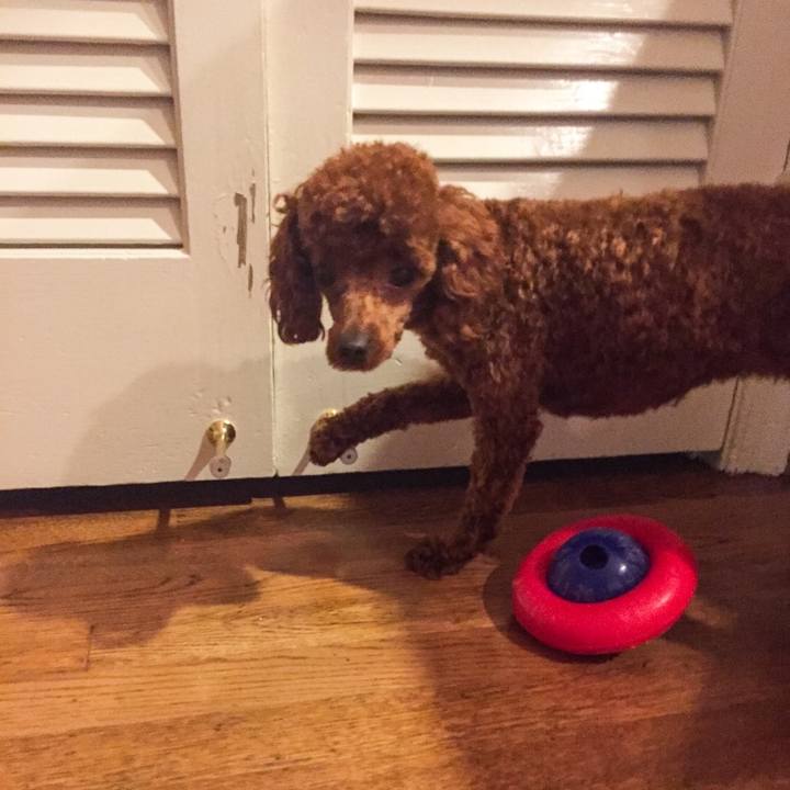 78e36f0b ac6e 4e46 9010 c3910dc160b0 1594603264353