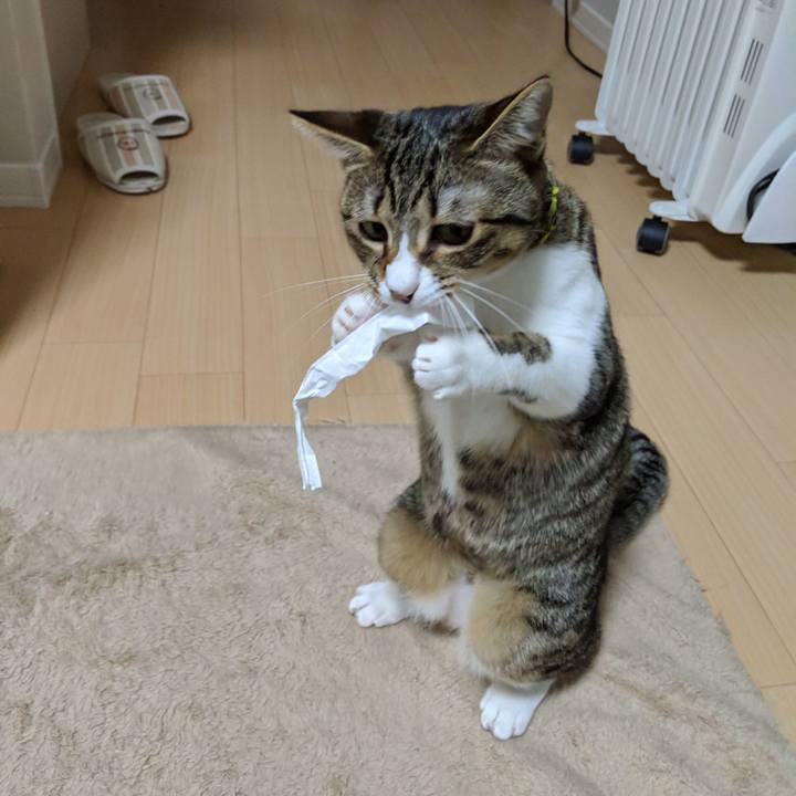 78e37287 f8cc 47e0 bfc3 fa17b413489d 1547204564752