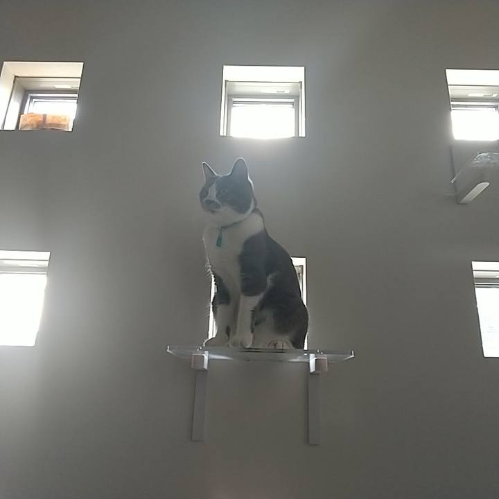 78e3c7fa 4a5b 4699 b05a 3281b87b9096 1627002742232