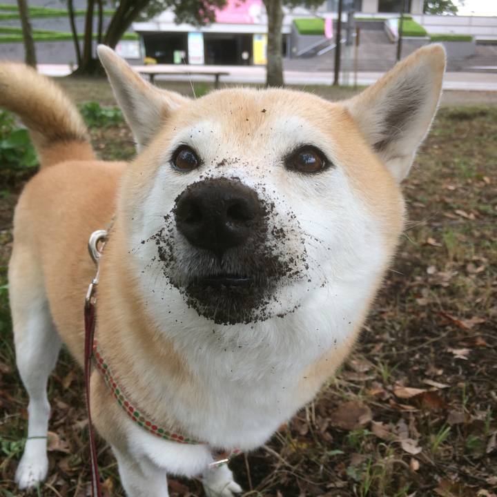 78e3ded5 874e 4b5c ab4b 2c0ab2f02d0c 1508043298412