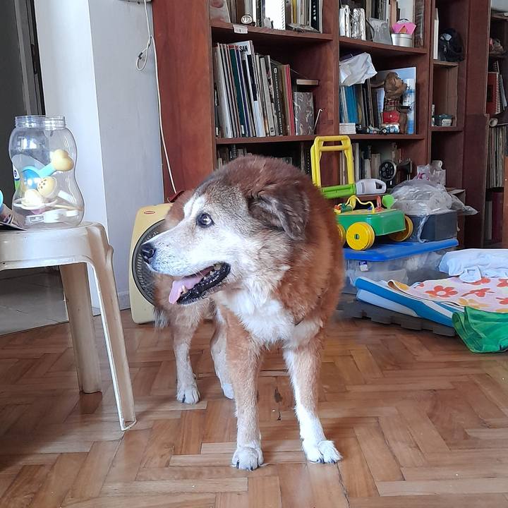 78e3f469 4d3d 449e 9039 4b3f1a71e88f 1766074282547