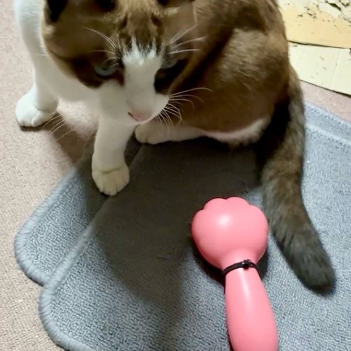 78e42496 3e69 4a38 a14f 0e363fa7837d 1761393989930