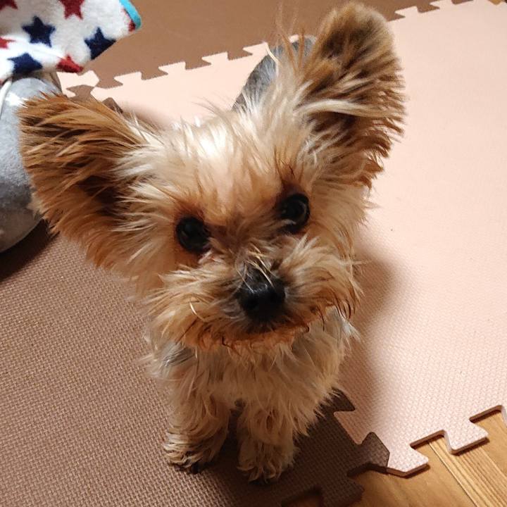 78e47165 d04b 441a 9e7e c70f5b526401 1576907832748